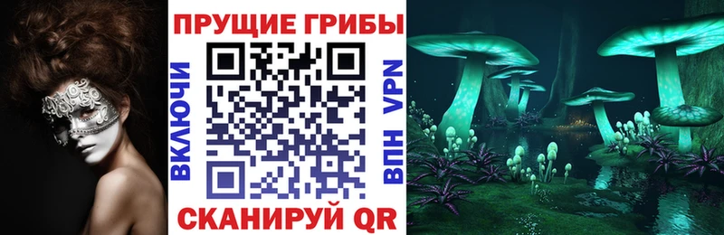 купить Уварово Псилоцибиновые грибы Psilocybine cubensis