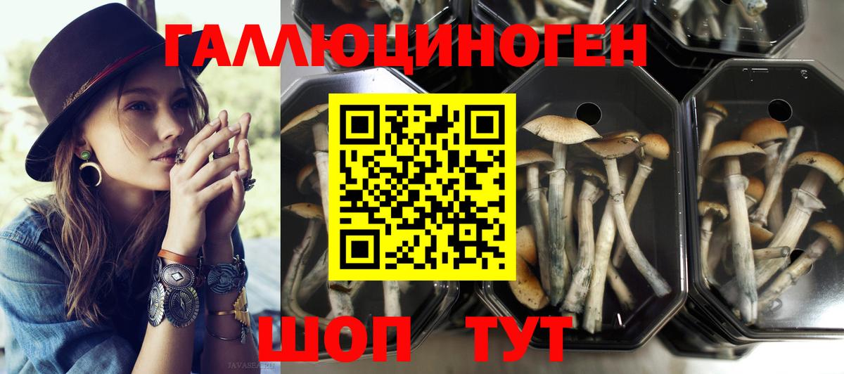 Галлюциногенные грибы мухоморы Уварово